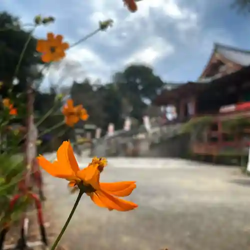 瀧泉寺（目黒不動尊）(東京都)