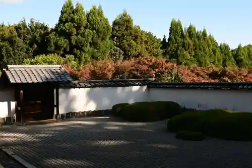 正伝護国禅寺(正伝寺･正傳寺)(京都府)