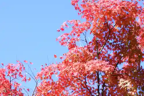 禅林寺（永観堂）(京都府)