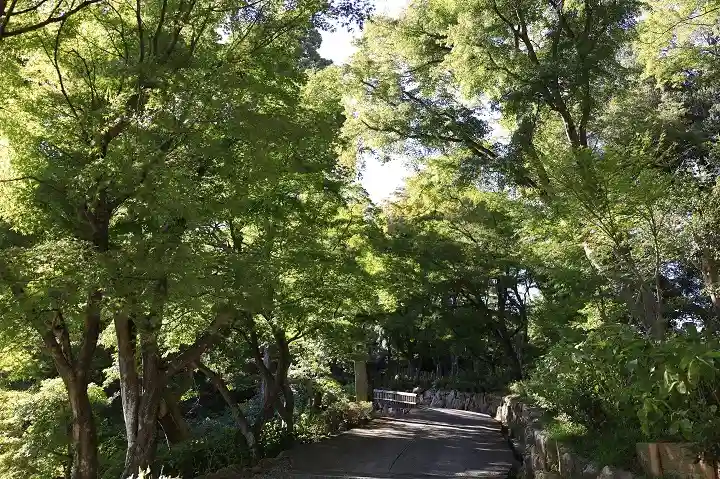 柳谷観音 楊谷寺(京都府)