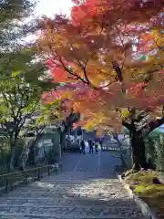 安楽寺(京都府)