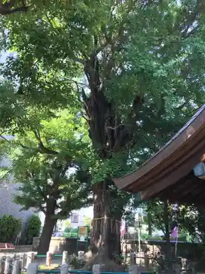 磐井神社(東京都)