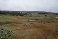 苗場神社 奥の院の景色