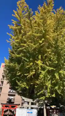 瀧宮神社(広島県)