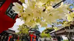 平野神社(京都府)