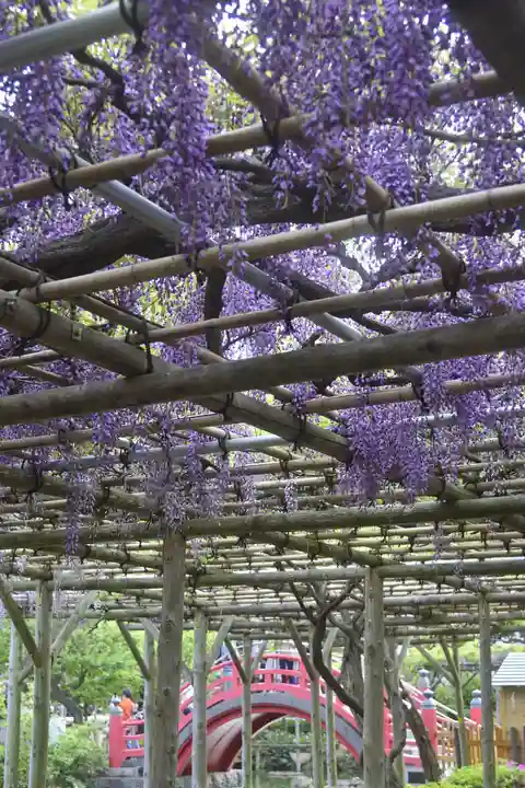 亀戸天神社(東京都)