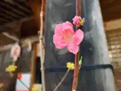 滑川神社 - 仕事と子どもの守り神の建物その他