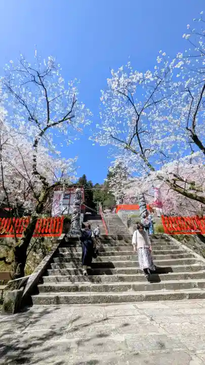 金櫻神社の{uncategorized: "未分類", other: "その他", undefined: "問題あり", building: "その他建物", grave: "お墓", sacred_gate: "鳥居", guardian: "狛犬", statue: "像", buddha: "仏像", history: "歴史", nature: "自然", garden: "庭園", animal: "動物", pagoda: "塔", temizu: "手水舎", mountain_gate: "山門・神門", sanctuary: "本殿・本堂", subordinate: "末社・摂社", art: "芸術", scenery: "景色", jizo: "地蔵", ema: "絵馬", goshuin: "御朱印", omikuji: "おみくじ", items: "授与品その他", amulet: "お守り", goshuincho: "御朱印帳", eats: "食事", festival: "お祭り", votive_dance: "神楽", shichigosan: "七五三参", wedding: "結婚式", experience: "体験その他", initially: "初詣", around: "周辺", anti_infection: "感染症対策"}