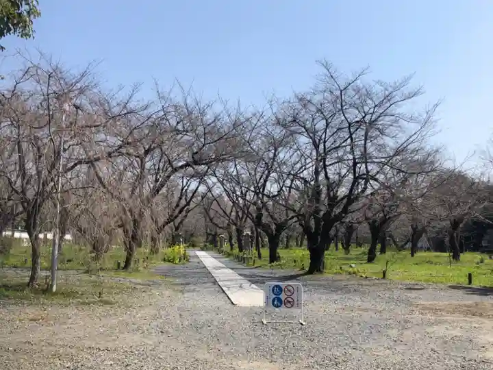 平野神社(京都府)