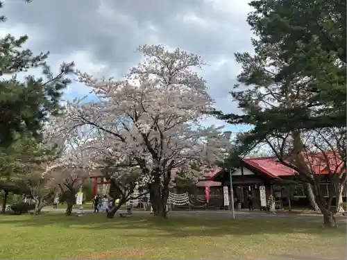 札幌護國神社の自然