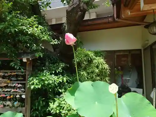 一宮神社(兵庫県)