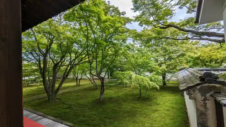 妙覺寺(妙覚寺)(京都府)