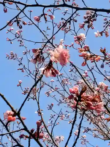 厚別神社(北海道)