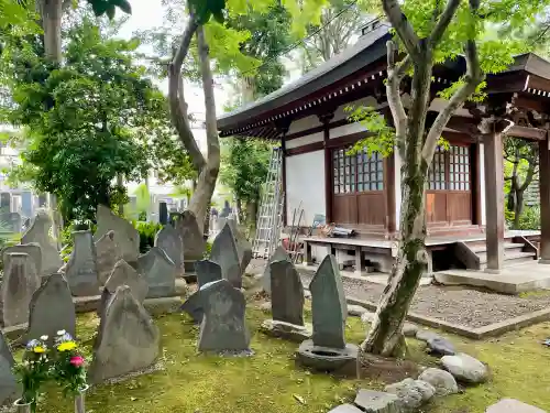 玉泉寺(東京都)