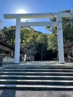 安房神社(千葉県)