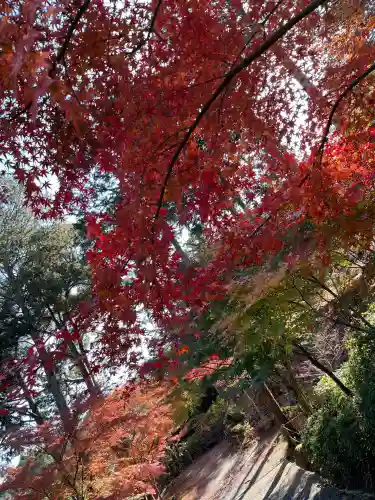 常樂寺(滋賀県)