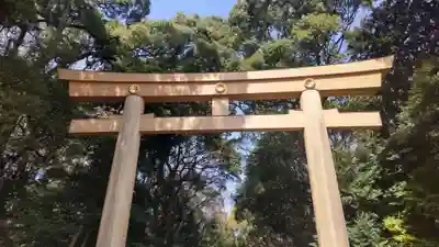 明治神宮(東京都)