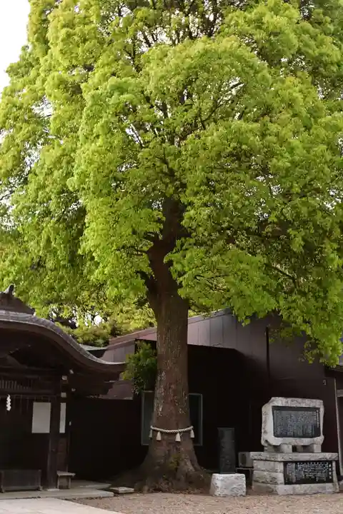 酒列磯前神社(茨城県)