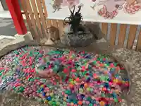 別小江神社の手水舎