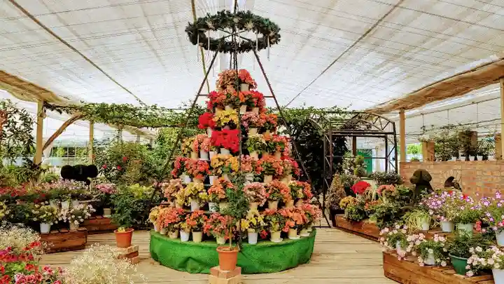新倉富士浅間神社の周辺