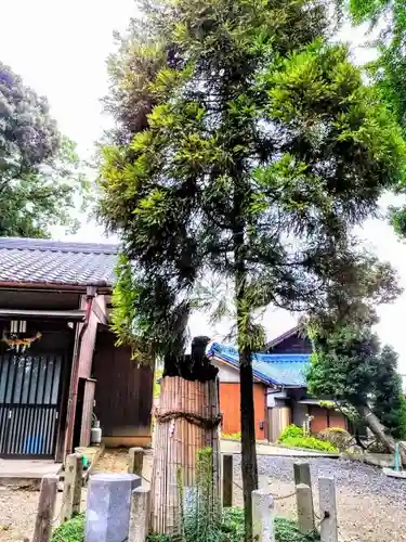 神明社（米田神明社）のその他建物