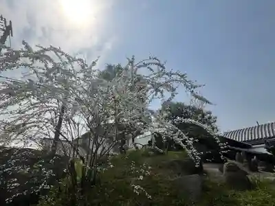 全興寺(大阪府)