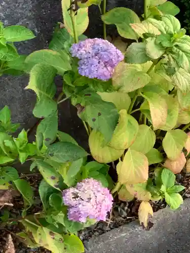 横浜　西方寺(神奈川県)