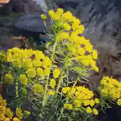 豊景神社の自然