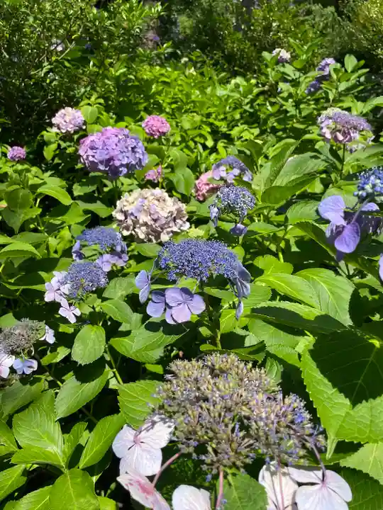 難波大社 生國魂神社(大阪府)