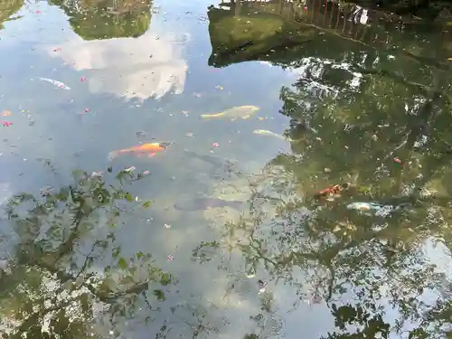 人丸神社（小中町）(栃木県)