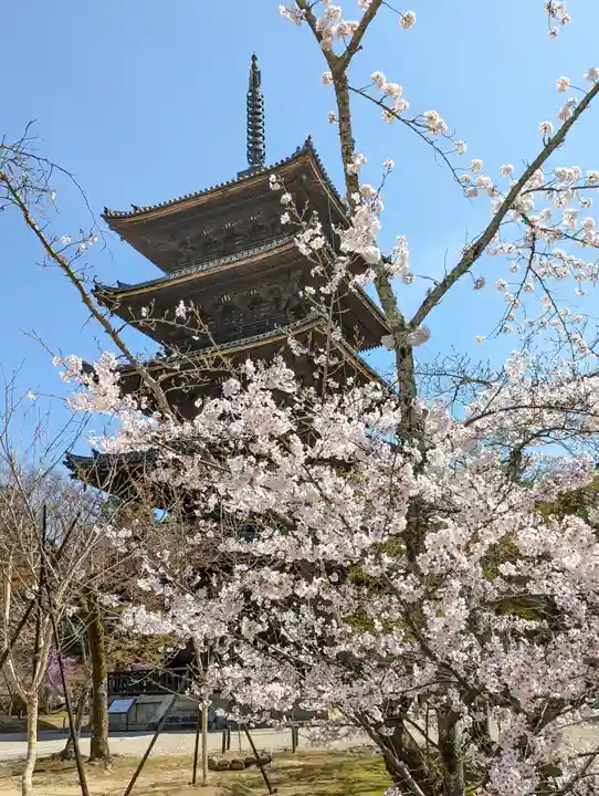 仁和寺(京都府)