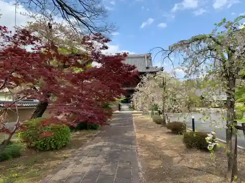 妙顕寺の山門