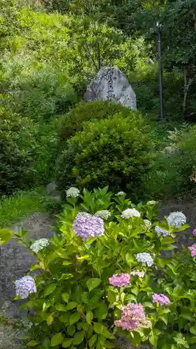 岡寺（龍蓋寺）(奈良県)