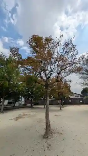 史跡　西寺趾(京都府)