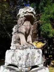 愛宕神社の狛犬