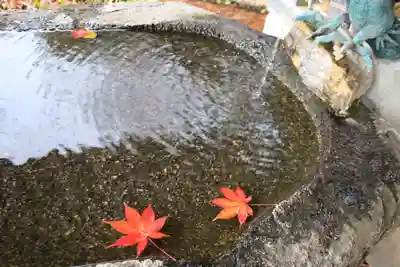 鹿島大神宮の手水舎