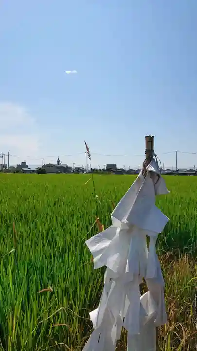 八龍社(稲島)の周辺