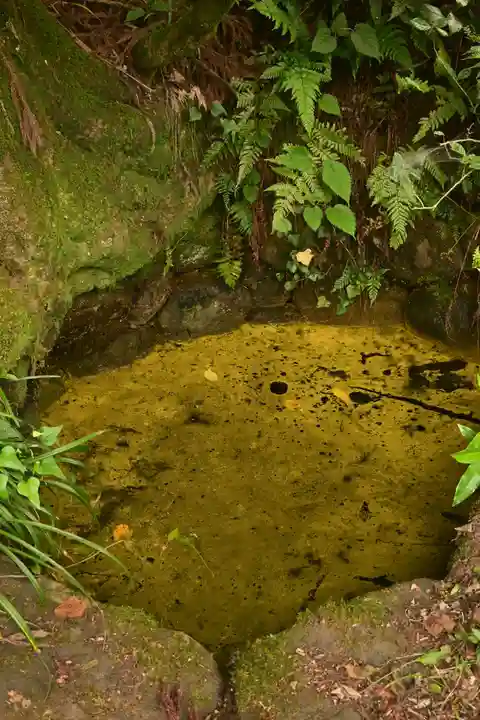 平泉寺白山神社(福井県)