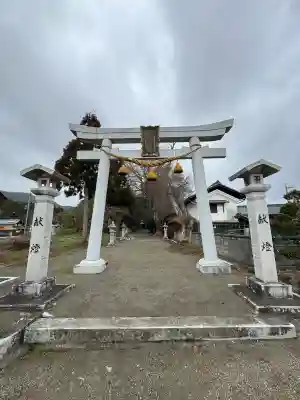 波久奴神社の{uncategorized: "未分類", other: "その他", undefined: "問題あり", building: "その他建物", grave: "お墓", sacred_gate: "鳥居", guardian: "狛犬", statue: "像", buddha: "仏像", history: "歴史", nature: "自然", garden: "庭園", animal: "動物", pagoda: "塔", temizu: "手水舎", mountain_gate: "山門・神門", sanctuary: "本殿・本堂", subordinate: "末社・摂社", art: "芸術", scenery: "景色", jizo: "地蔵", ema: "絵馬", goshuin: "御朱印", omikuji: "おみくじ", items: "授与品その他", amulet: "お守り", goshuincho: "御朱印帳", eats: "食事", festival: "お祭り", votive_dance: "神楽", shichigosan: "七五三参", wedding: "結婚式", experience: "体験その他", initially: "初詣", around: "周辺", anti_infection: "感染症対策"}
