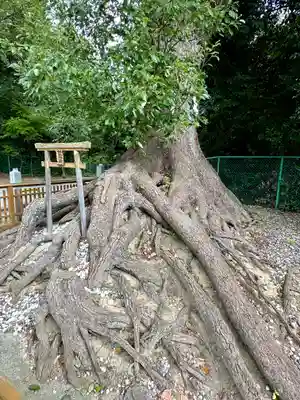 和泉國一之宮　大鳥大社(大阪府)