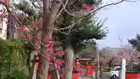 車折神社の自然