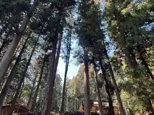 大宮温泉神社の周辺(2022年03月15日(火) 13時17分10秒投稿)