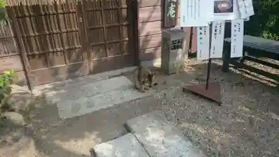 足利織姫神社のその他建物