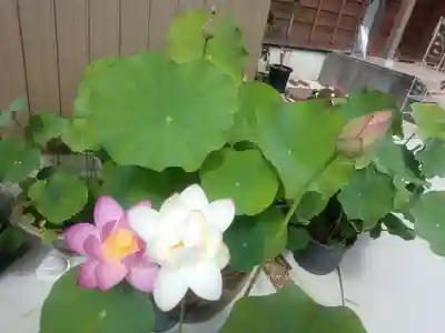 全忠寺(愛知県)