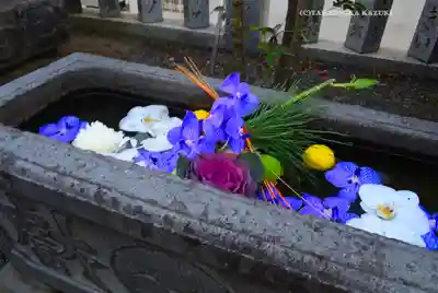元町厳島神社の手水舎