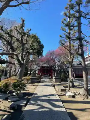 北野天神（仲六郷北野神社）の{uncategorized: "未分類", other: "その他", undefined: "問題あり", building: "その他建物", grave: "お墓", sacred_gate: "鳥居", guardian: "狛犬", statue: "像", buddha: "仏像", history: "歴史", nature: "自然", garden: "庭園", animal: "動物", pagoda: "塔", temizu: "手水舎", mountain_gate: "山門・神門", sanctuary: "本殿・本堂", subordinate: "末社・摂社", art: "芸術", scenery: "景色", jizo: "地蔵", ema: "絵馬", goshuin: "御朱印", omikuji: "おみくじ", items: "授与品その他", amulet: "お守り", goshuincho: "御朱印帳", eats: "食事", festival: "お祭り", votive_dance: "神楽", shichigosan: "七五三参", wedding: "結婚式", experience: "体験その他", initially: "初詣", around: "周辺", anti_infection: "感染症対策"}