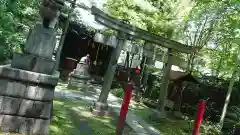 赤坂氷川神社の鳥居