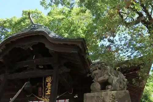 阿邪訶根神社の狛犬