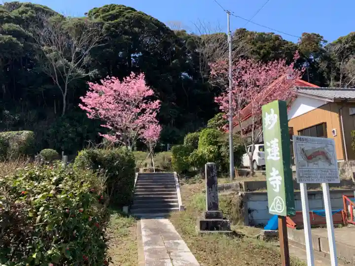 妙蓮寺(千葉県)