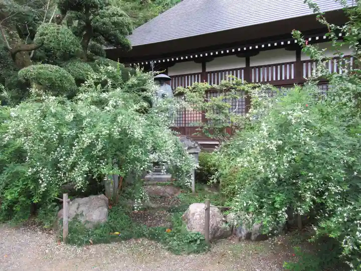 大悲願寺(東京都)